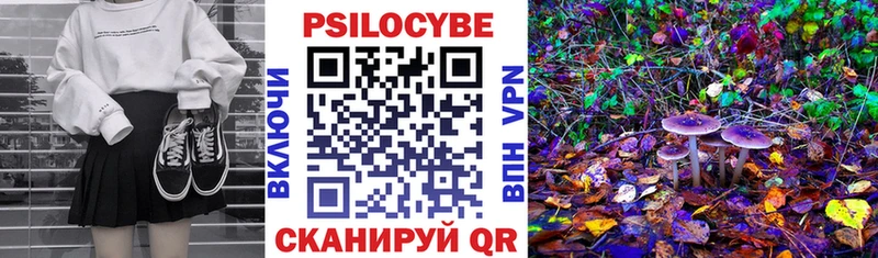 Купить где  Осинники  Псилоцибиновые грибы Psilocybine cubensis 